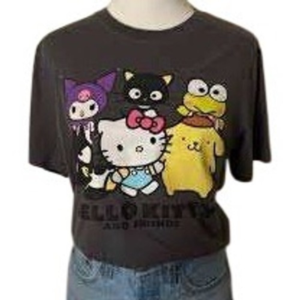 Hello Kitty & Friends Gray Hola Gato Crew Neck Graphic T-Shirt Size M 2XL (READ)